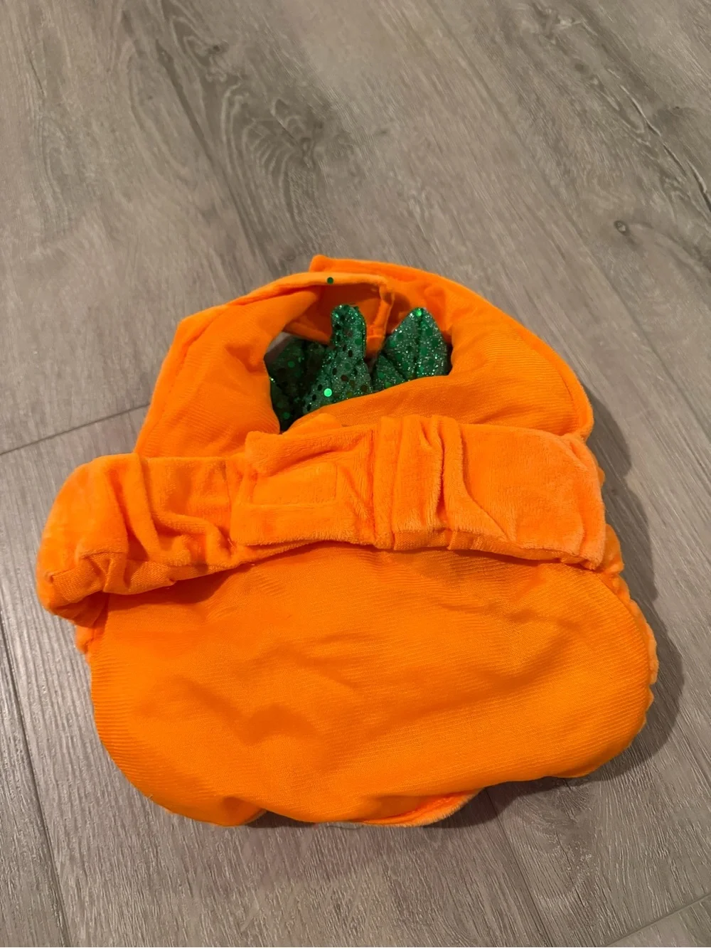Thrills & Chills Pumpkin Dog Costume Small - Like New